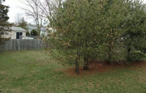 103 Springfield Avenue Egg Harbor Township