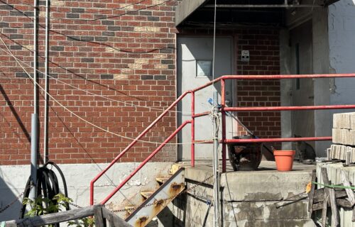 251 Lombardy Street Brooklyn, NY