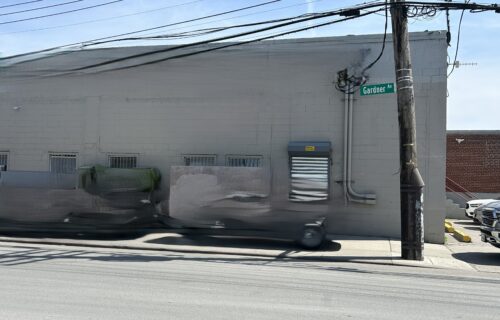 251 Lombardy Street Brooklyn, NY