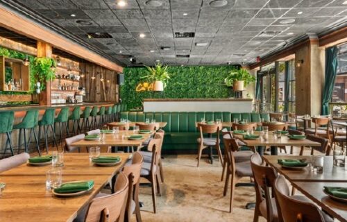 181 N. 10th Street Williamsburg, Brooklyn 11222